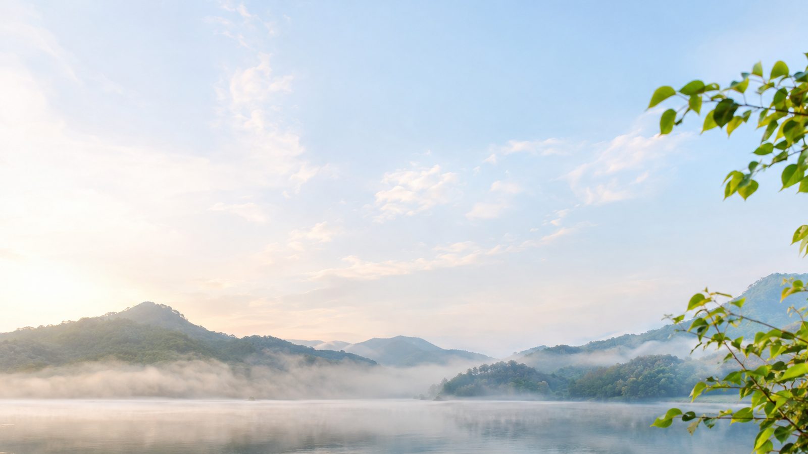 Calm lake at dawn with green leaves